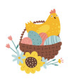 hen sits in a nest made of basket with colored vector image