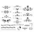 variety vintage ornaments set vector image