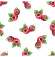 watercolor pattern of fruit raspberry vector image vector image