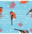 bullfinch and berberry branch seamless pattern vector image vector image
