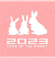 rabbits symbol of 2023 vector image