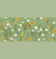 abstract floral seamless pattern with chamomile vector image