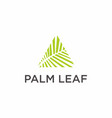 palm leaf triangle logo vector image