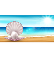 shell beach vector image vector image
