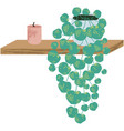 plant and candle on shelf for home interior vector image vector image