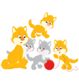 cat and kittens vector image