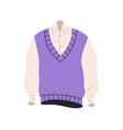 shirt under wool vest knitted waistcoat female vector image vector image