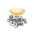 pumpkin pie hand lettering vector image vector image