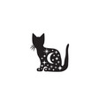 celestial cat vector image