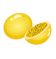 fruit vector image