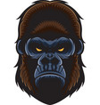 Gorilla Head Royalty Free Vector Image - VectorStock