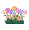 spring cute flowers fence and grass cartoon vector image