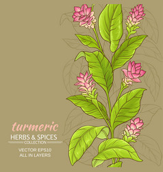Turmeric Royalty Free Vector Image - VectorStock