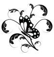 butterfly vector image