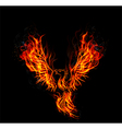 fire burning phoenix bird with black background vector image vector image