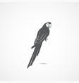 parrot flat icon vector image vector image