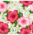 seamless pattern with tropical flowers hibiscus vector image