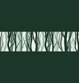wild forest with various coniferous or deciduous vector image