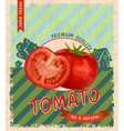 tomato retro poster vector image vector image