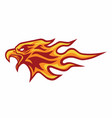 eagle head burning fire flame logo mascot vector image
