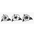 monochrome outline ink hibiscus chinese vector image vector image