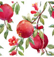 pomegranate fruit pattern vector image vector image