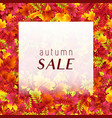 fashion autumn sale poster vector image vector image