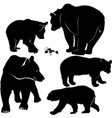 set silhouettes bears bears collecti vector image