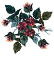 tropical hibiscus flower in realistic style vector image vector image