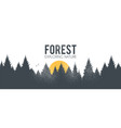 coniferous forest silhouette background nature vector image