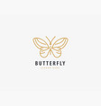 butterfly logo luxury icon vector image
