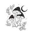 poisonous mushrooms fly agaric toadstool vector image