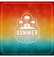 summer holidays typography label design on grunge vector image vector image