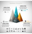 infographic vector image
