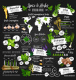 infographic for spice and herb statistics poster vector image vector image