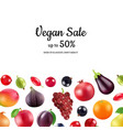 realistic fruits and berries background vector image vector image