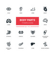 body parts - modern simple thin line design icons vector image vector image