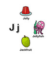 alphabet letter j-jackfruitjellyjellyfish vector image vector image