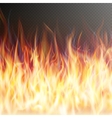 blaze fire flame eps 10 vector image