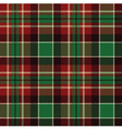 seamless tartan pattern vector image