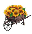 watercolor wooden wheelbarrow with sunflowers vector image vector image