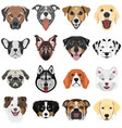 collection dogs vector image vector image