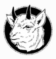 goat head in a round frame vector image vector image