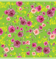 roses spring pattern vector image vector image
