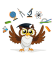 knowledge owl vector image
