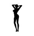 naked sexy girls silhouette vector image