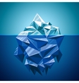 snow iceberg mountain in polygonal style vector image