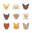 dogs cute kawaii characters vector image