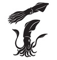 tentacles vector image vector image