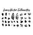 tree leaves silhouettes plants and nature vector image